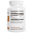 cordyceps mushroom extract