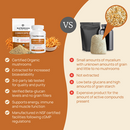 cordyceps mushroom extract