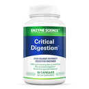 critical digestion enzyme science