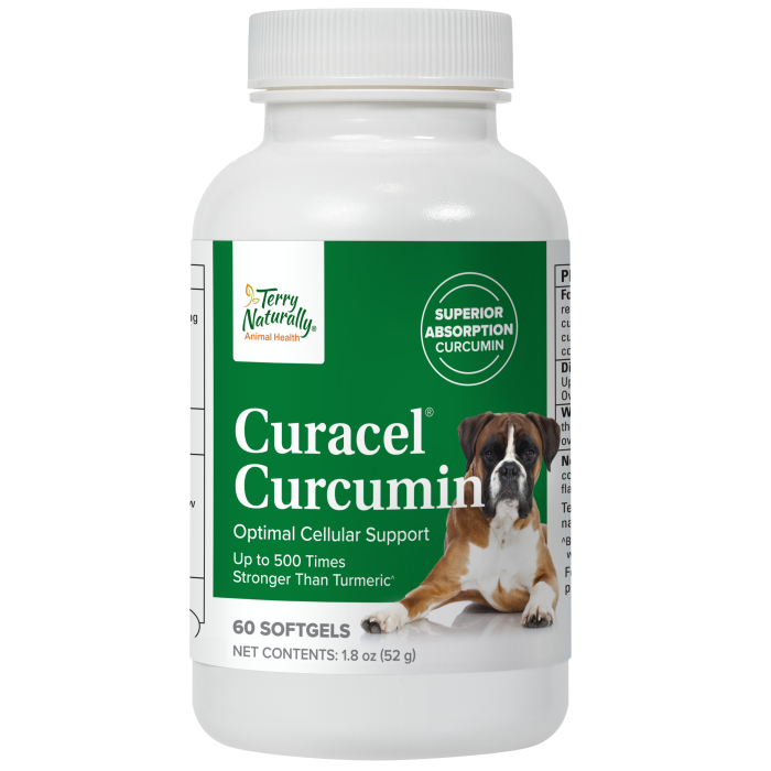 Curacel Curcumin Terry Naturally