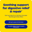 dgl stomach soothe gummies enzymedica