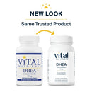 buy dhea 10 mg vital nutrients