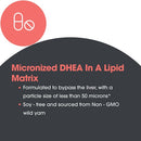 dhea 25 mg allergy research group details