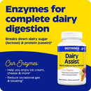 buy dairyassist enzymedica