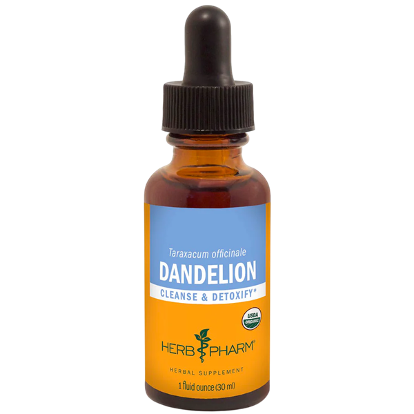 dandelion (herb pharm)