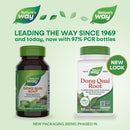 buy dong quai root capsules (nature's way)