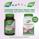 buy echinacea capsules nature's way