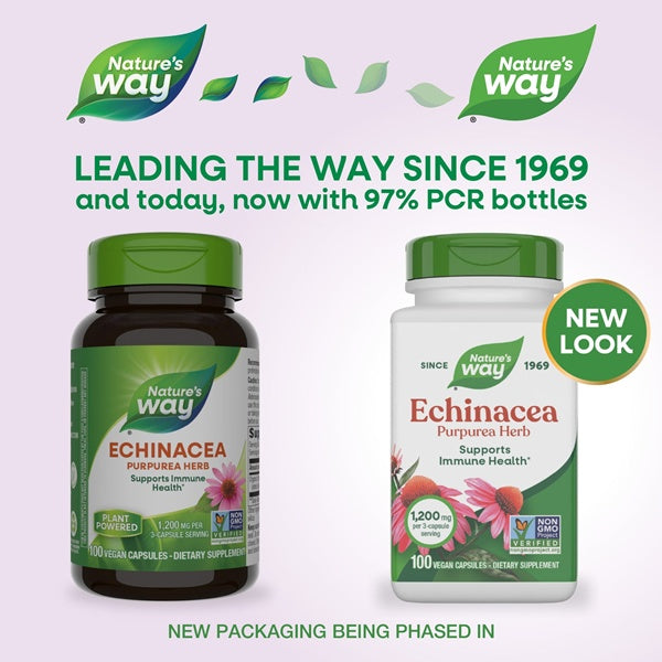 buy echinacea capsules nature's way