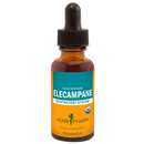 elecampane (herb pharm)