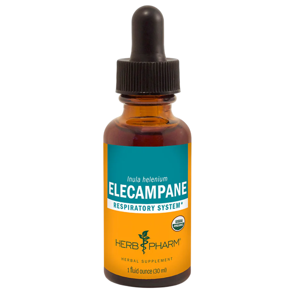 elecampane (herb pharm)