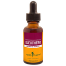 eleuthero (herb pharm)