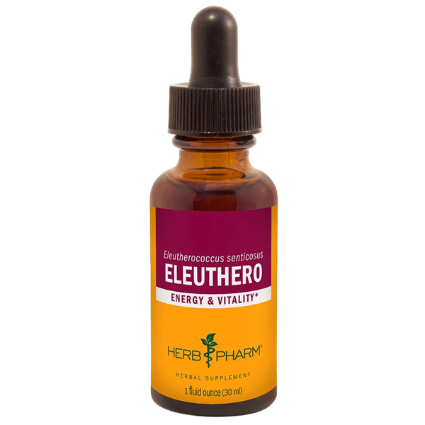 eleuthero (herb pharm)