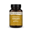 fermented ginger dr. mercola
