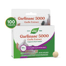 garlinase 5000 nature's way