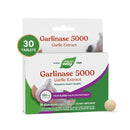 garlinase 5000 nature's way