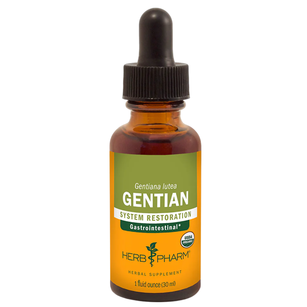 gentian herb pharm