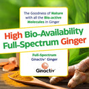buy ginger & vitamin b6 gummies enzymedica