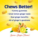 buy ginger & vitamin b6 gummies enzymedica