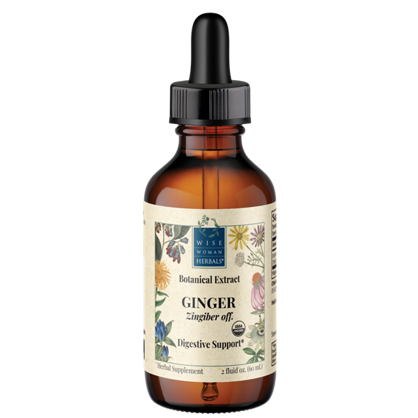 zingiber ginger wise woman herbals