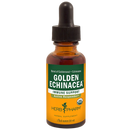 golden echinacea herb pharm