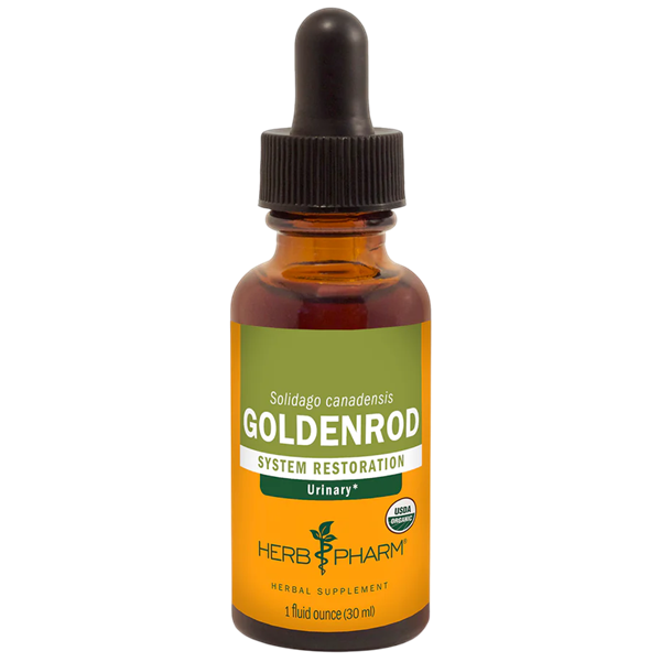goldenrod herb pharm