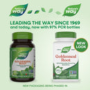 buy goldenseal root nature's way