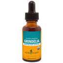 grindelia (herb pharm)