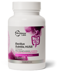 Bacillus subtilis HU58