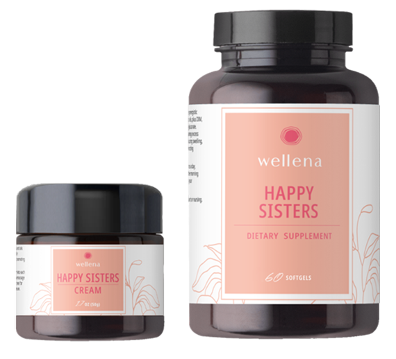 happy sisters kit wellena