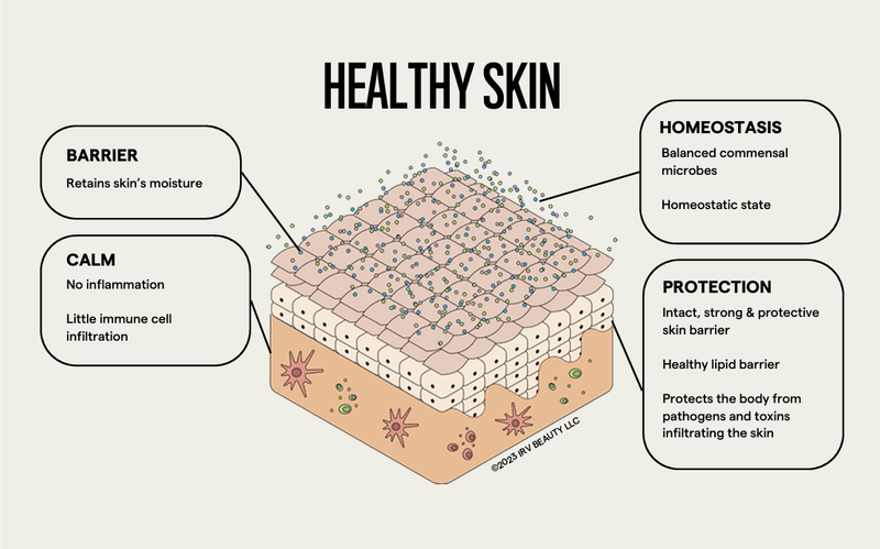 SIV skin microbiome