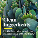 buy heartburn soothe enzymedica