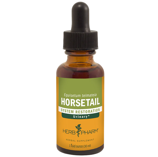horsetail herb pharm