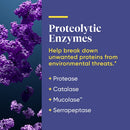 buy immune defense regular strength enzymedica