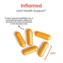 joint health support | inflamed allergy research group