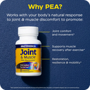 joint & muscle with pea phytosome (enzymedica)