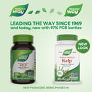 buy kelp 600 mg nature's way