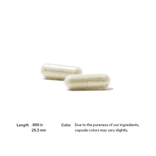 L-Arginine Plus (formerly Perfusia Plus) Thorne research products