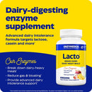 buy lacto enzymedica