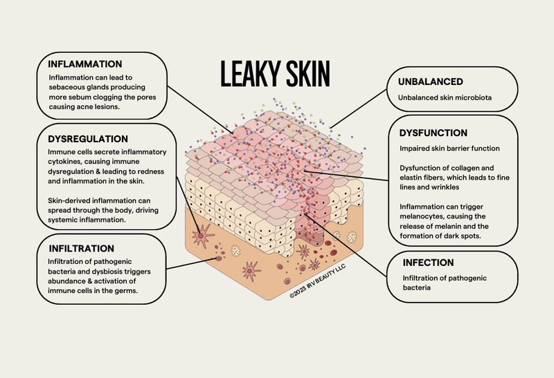 Leaky Skin