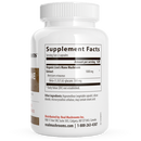 lion's mane extract capsules