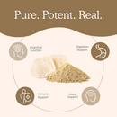 lion's mane extract powder