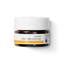 lip balm dr. hauschka skincare