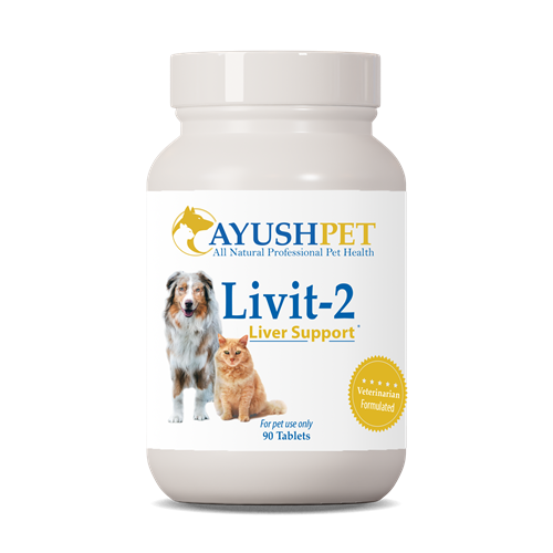 Liver Support Livit 2 (Ayush Herbs)