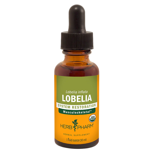 lobelia herb pharm