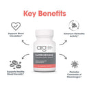 lumbrokinase allergy research group suggested use