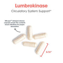 circulatory system support | lumbrokinase allergy research group