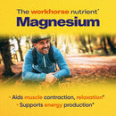 buy magnesium motion enzymedica