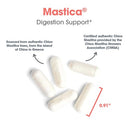 digestion support | mastica allergy research group