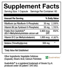 methyl b complete (inwell biosciences) supplement facts