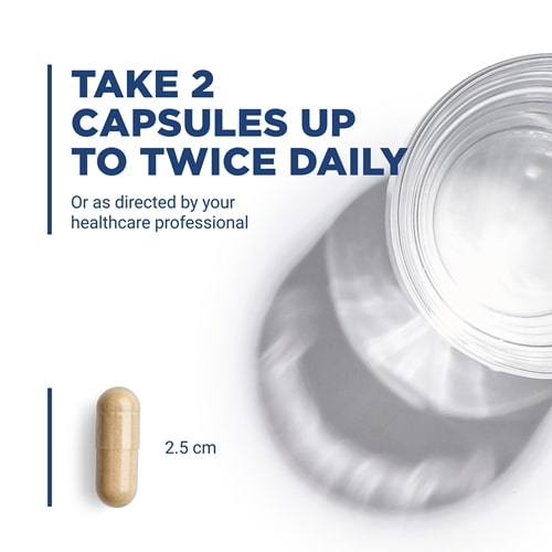 milk thistle extract vital nutrients suggested use